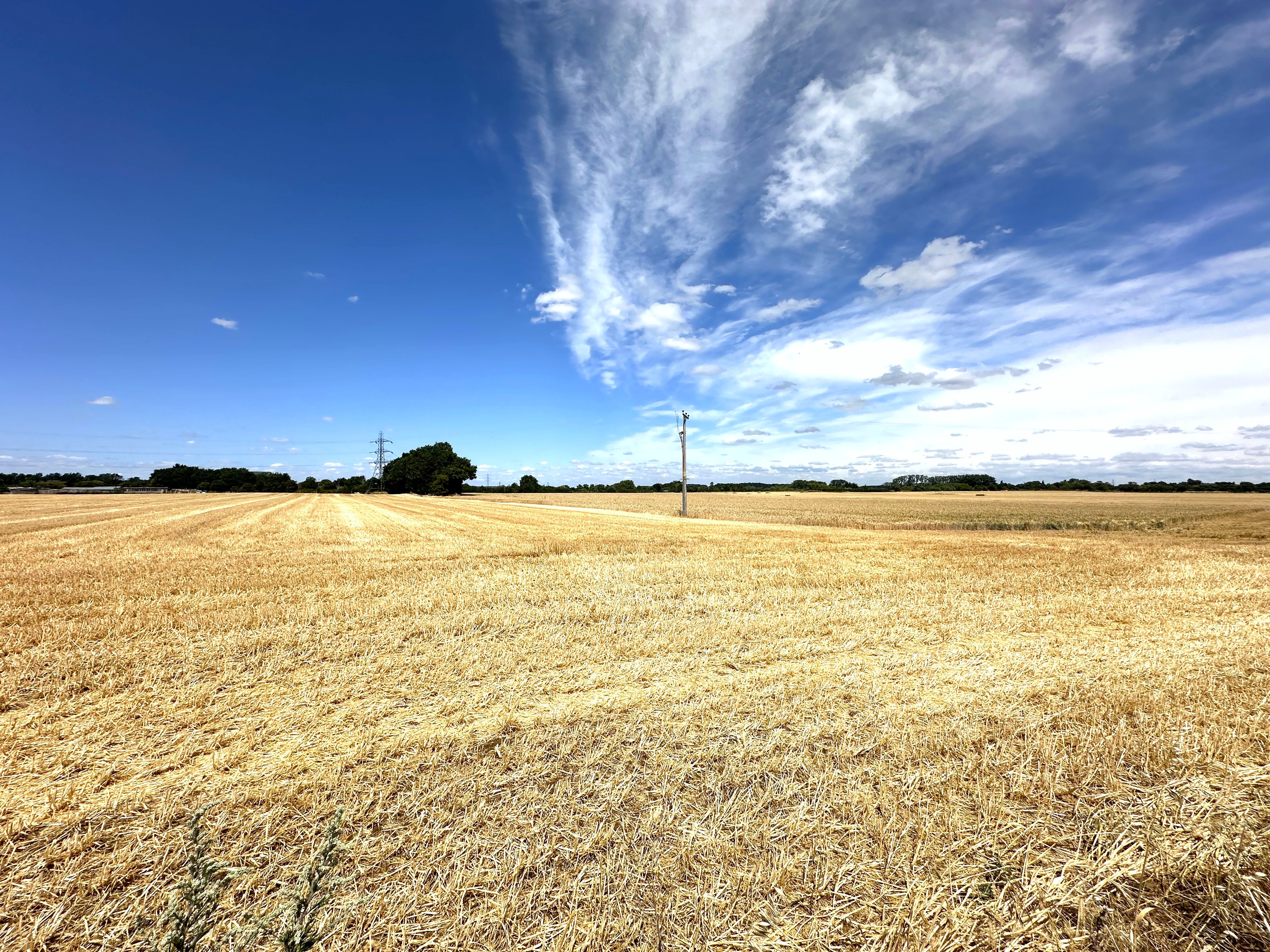 Office in Abingdon - photo 2