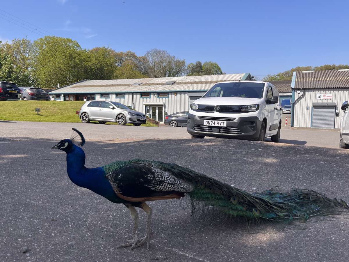 Industrial Unit in Clyst St. Mary - photo 4