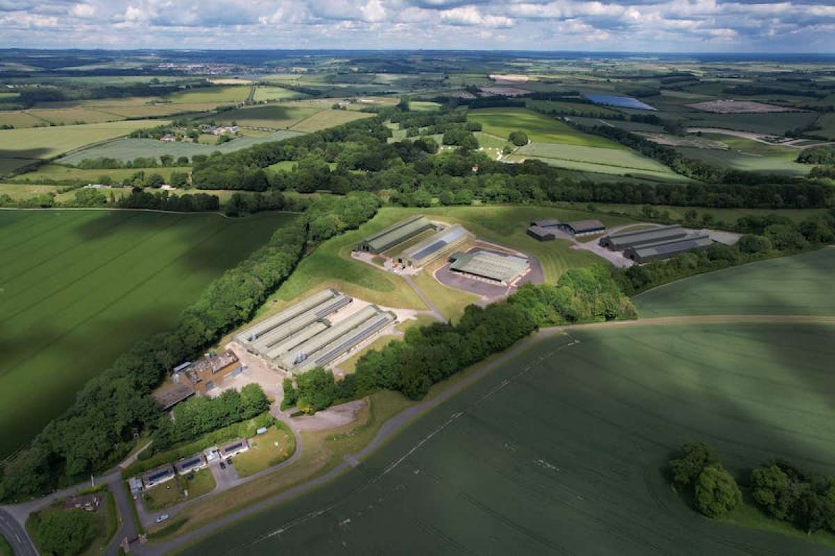 Industrial Unit in Blandford Forum - photo 3