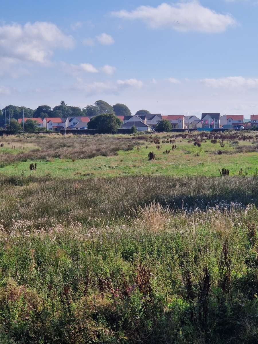 Land in Ayr - photo 4