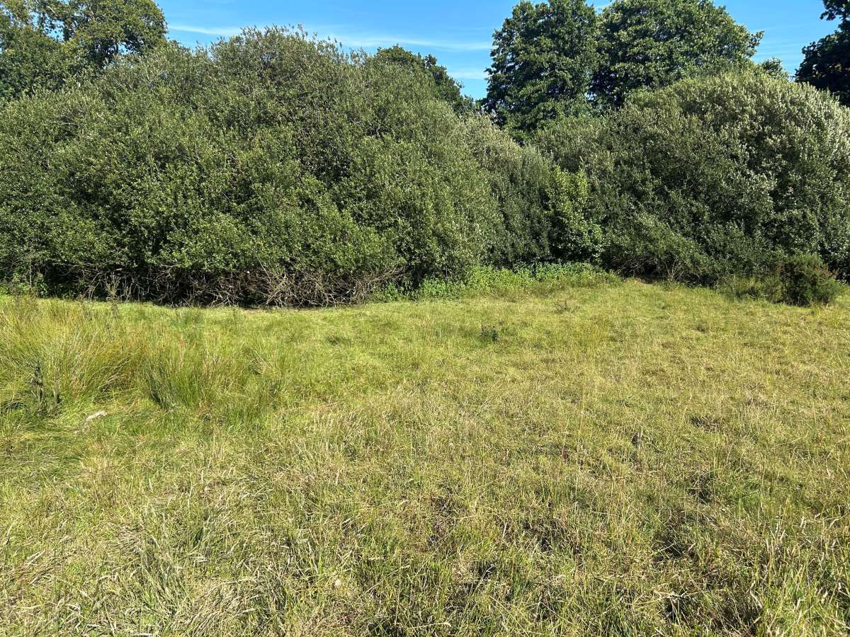 Land in Totnes - photo 2