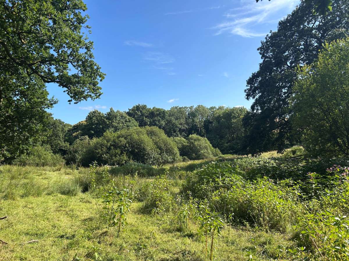 Land in Totnes - photo 3