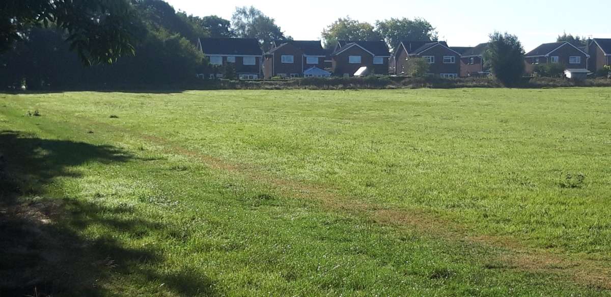 Land in Stafford - photo 4