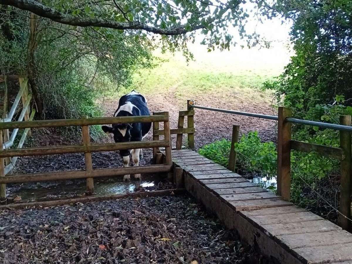 Land in Stroud - photo 4