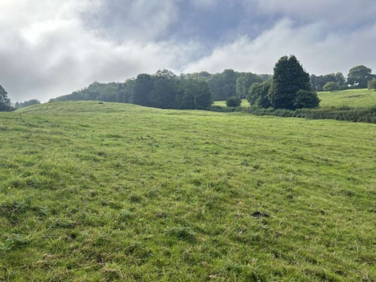 Land in Gloucester - photo 3