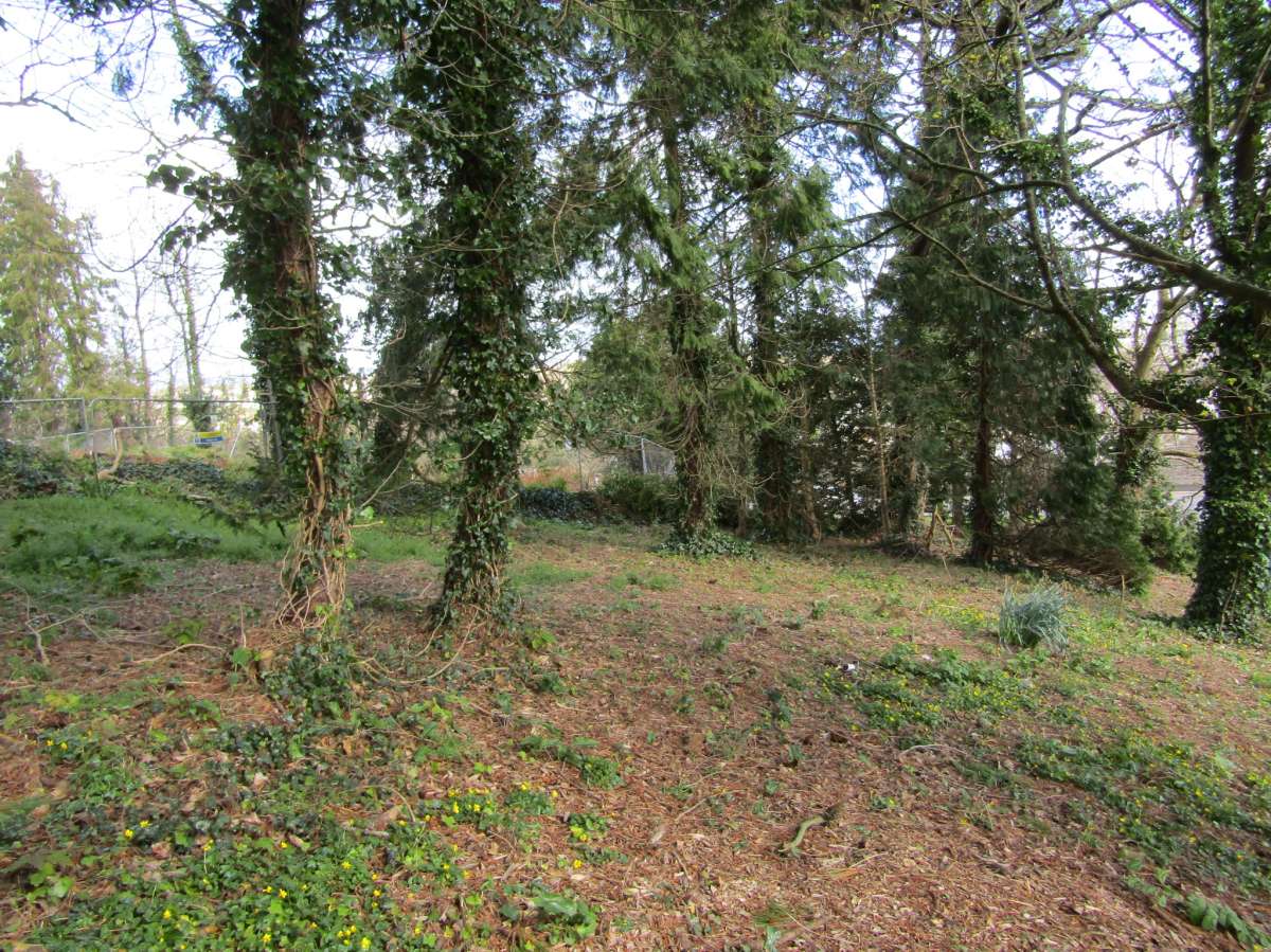 Land in Brixham - photo 4