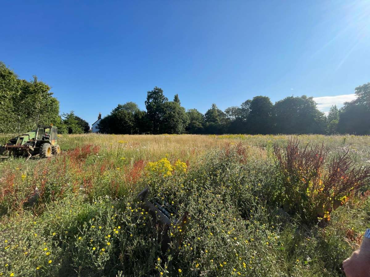 Land in Little Stonham - photo 2