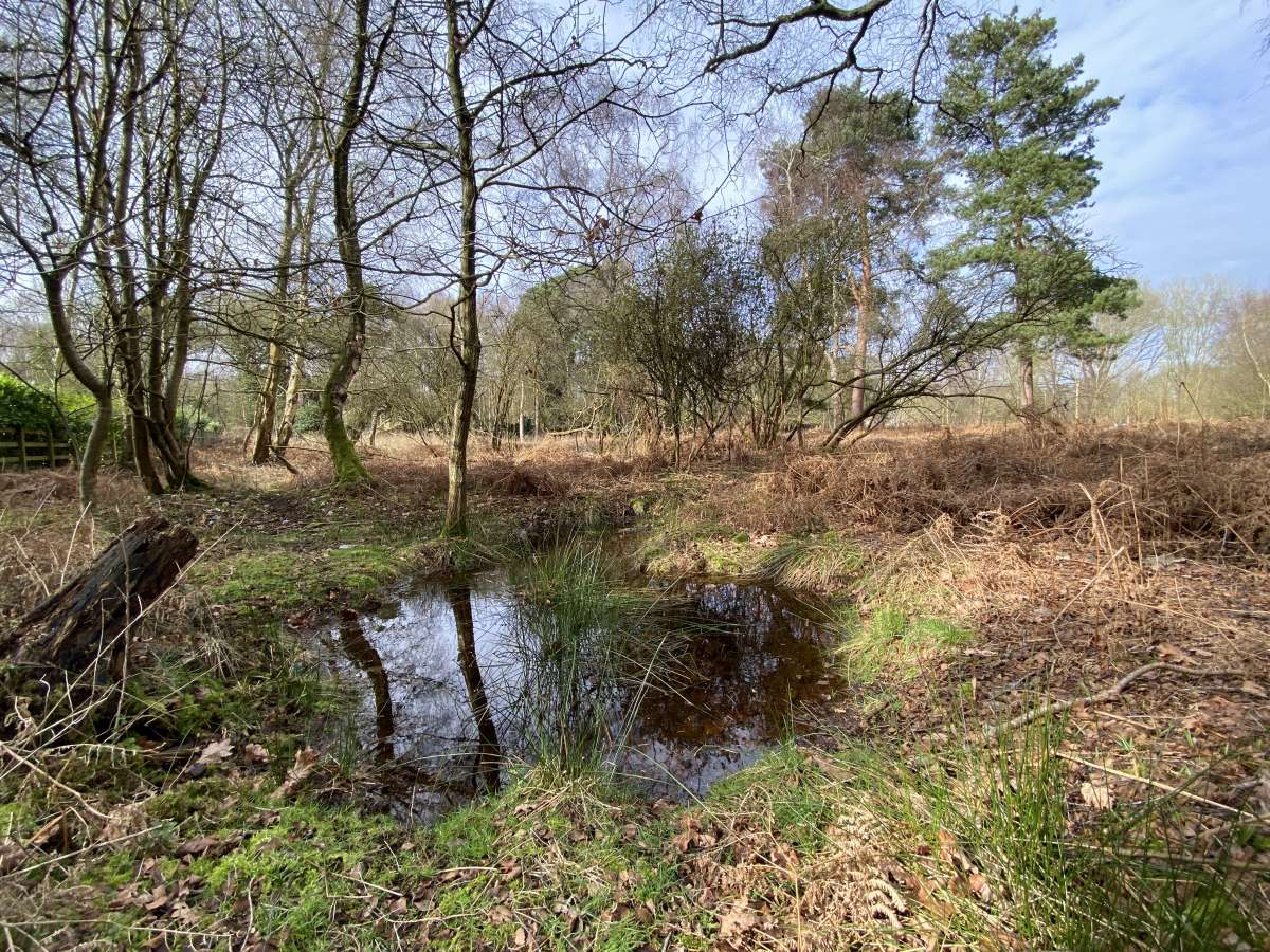 Land in Stratton Strawless - photo 2