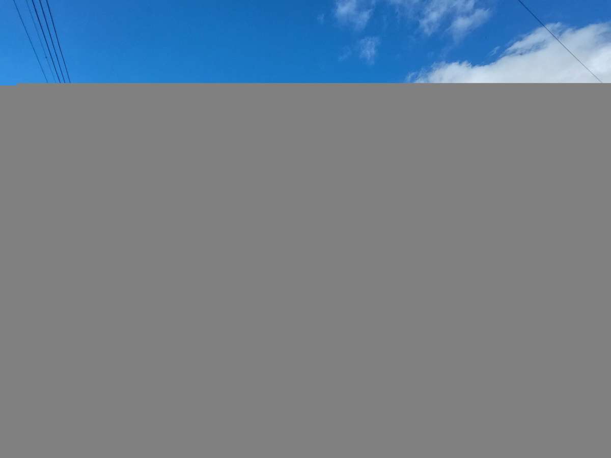 Land in Dundee - photo 2