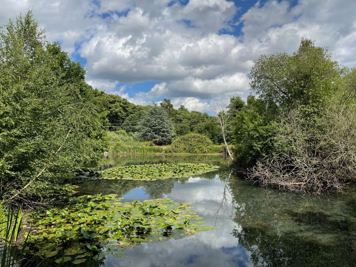 Other in Woodbridge - photo 3