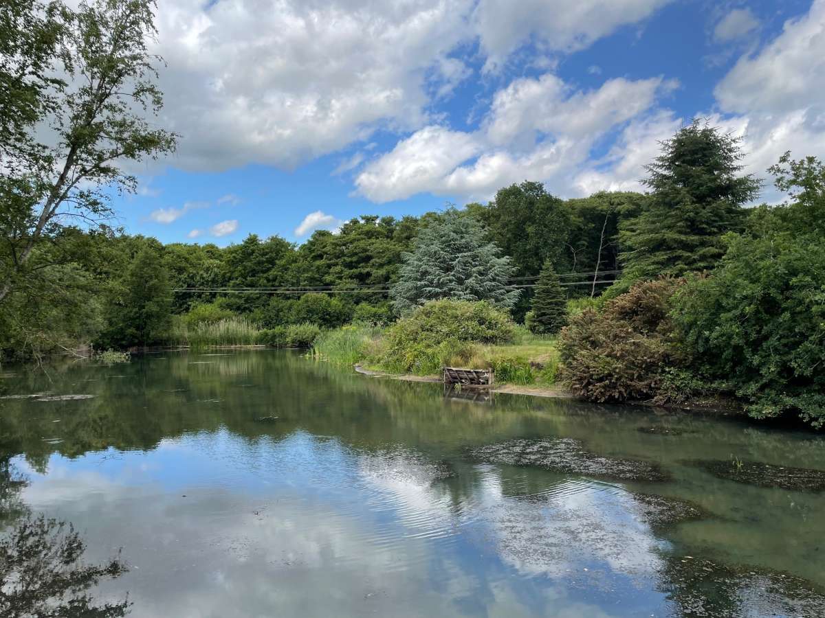 Other in Woodbridge - photo 4