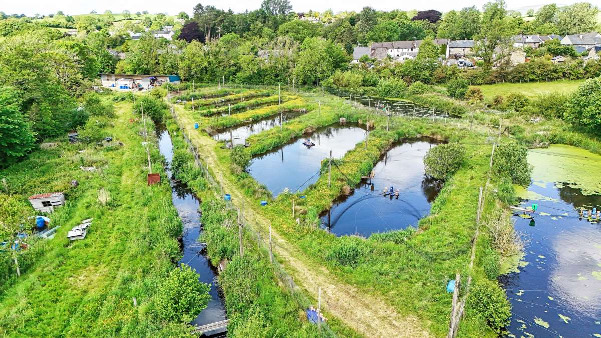 Other in Lancaster - photo 4