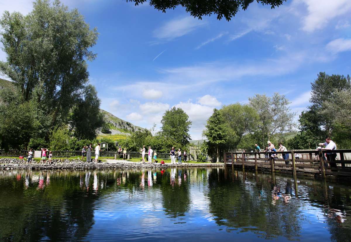 Other in Harrogate - photo 2