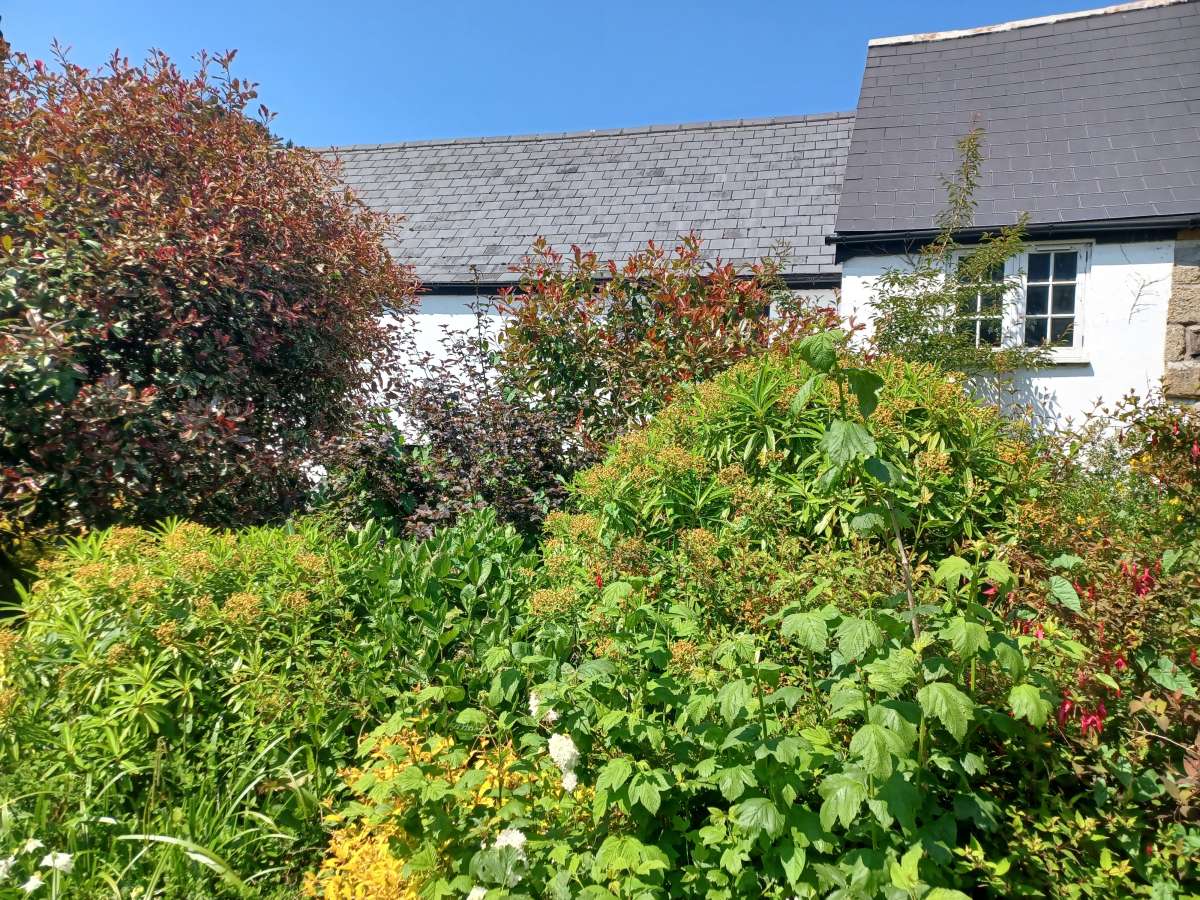 Retail/Shop in Penzance - photo 2