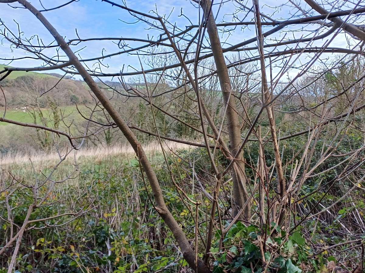 Retail/Shop in St Austell - photo 3