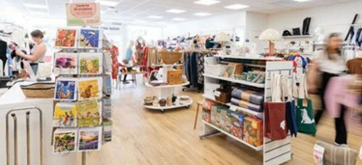 Retail/Shop in Plymouth - photo 4