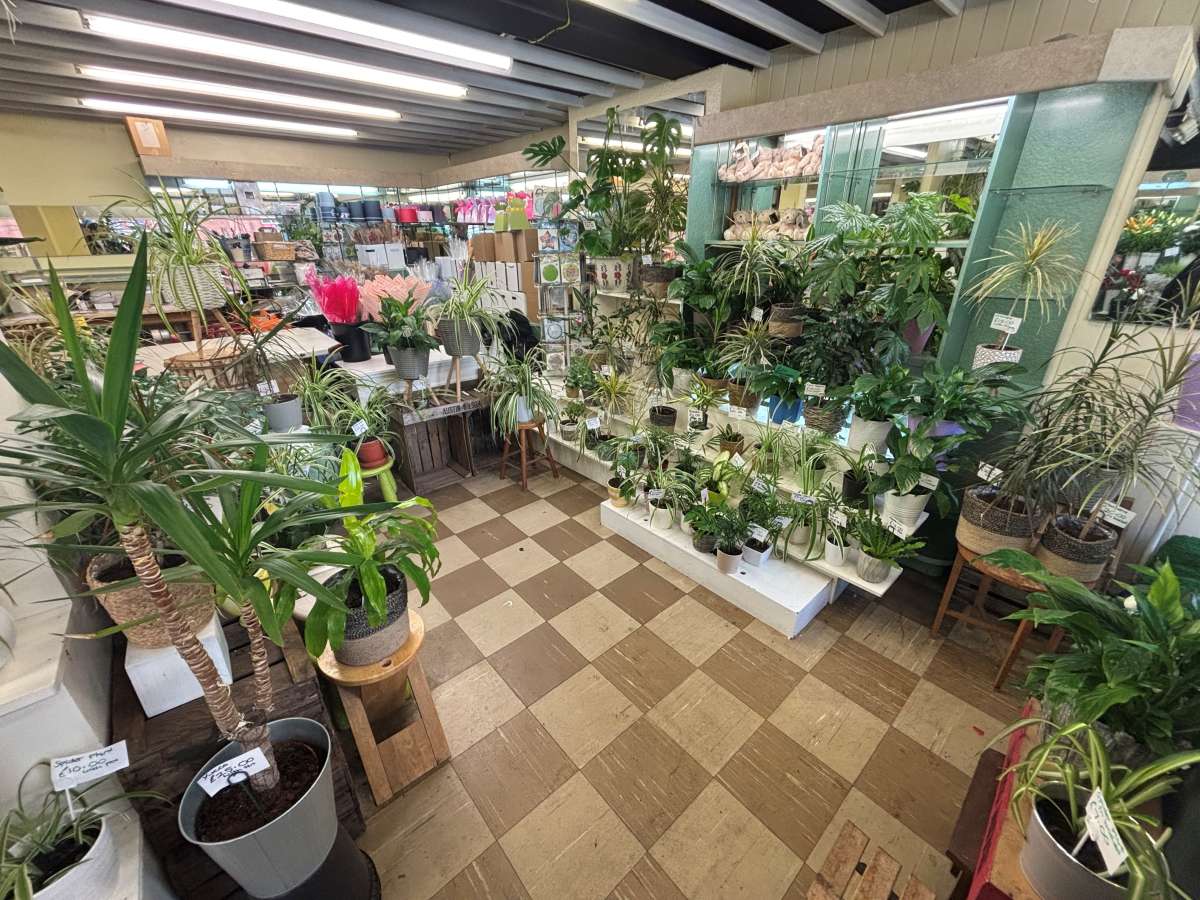 Retail/Shop in Leicester - photo 4