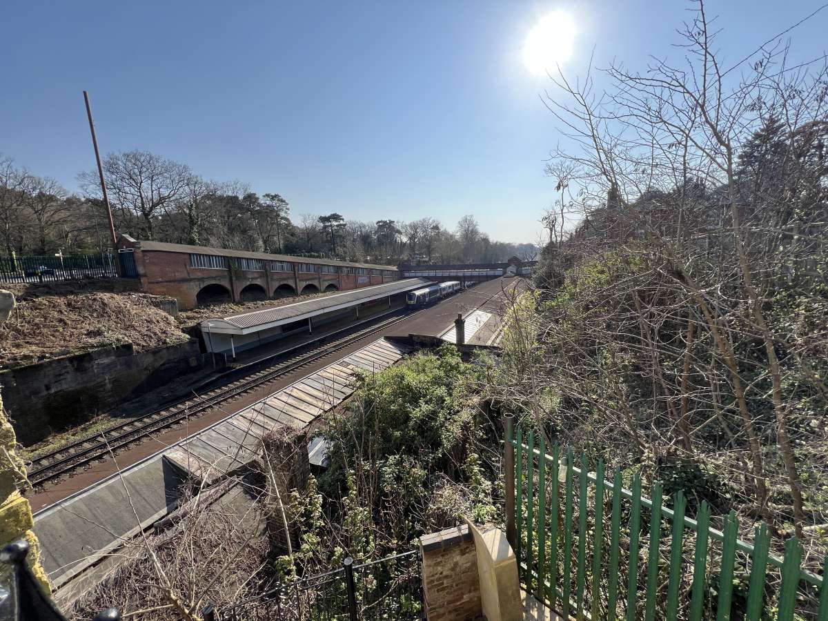 Retail/Shop in Weybridge - photo 4