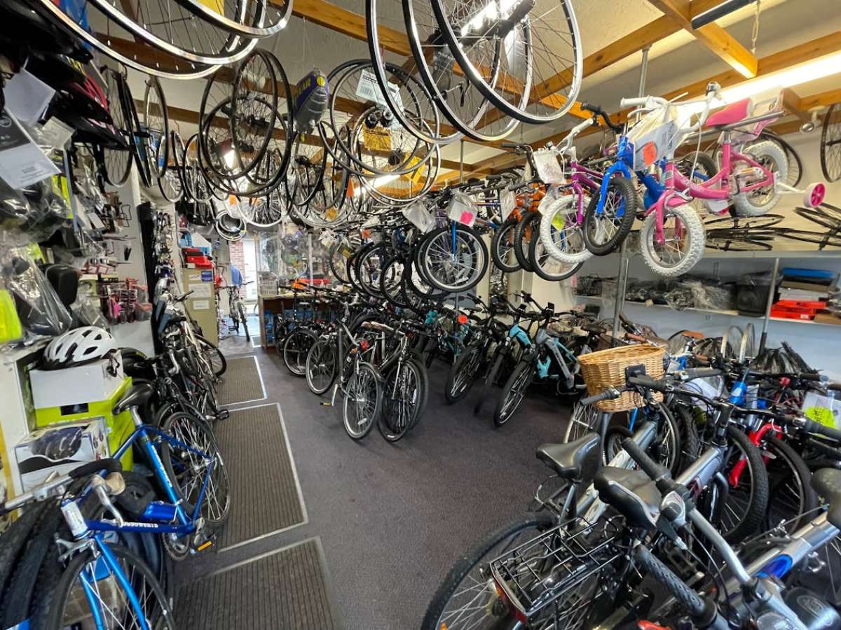 Retail/Shop in Christchurch - photo 2